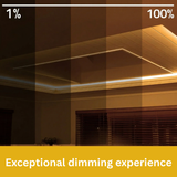 Dimmable Power Supply 100 Watts